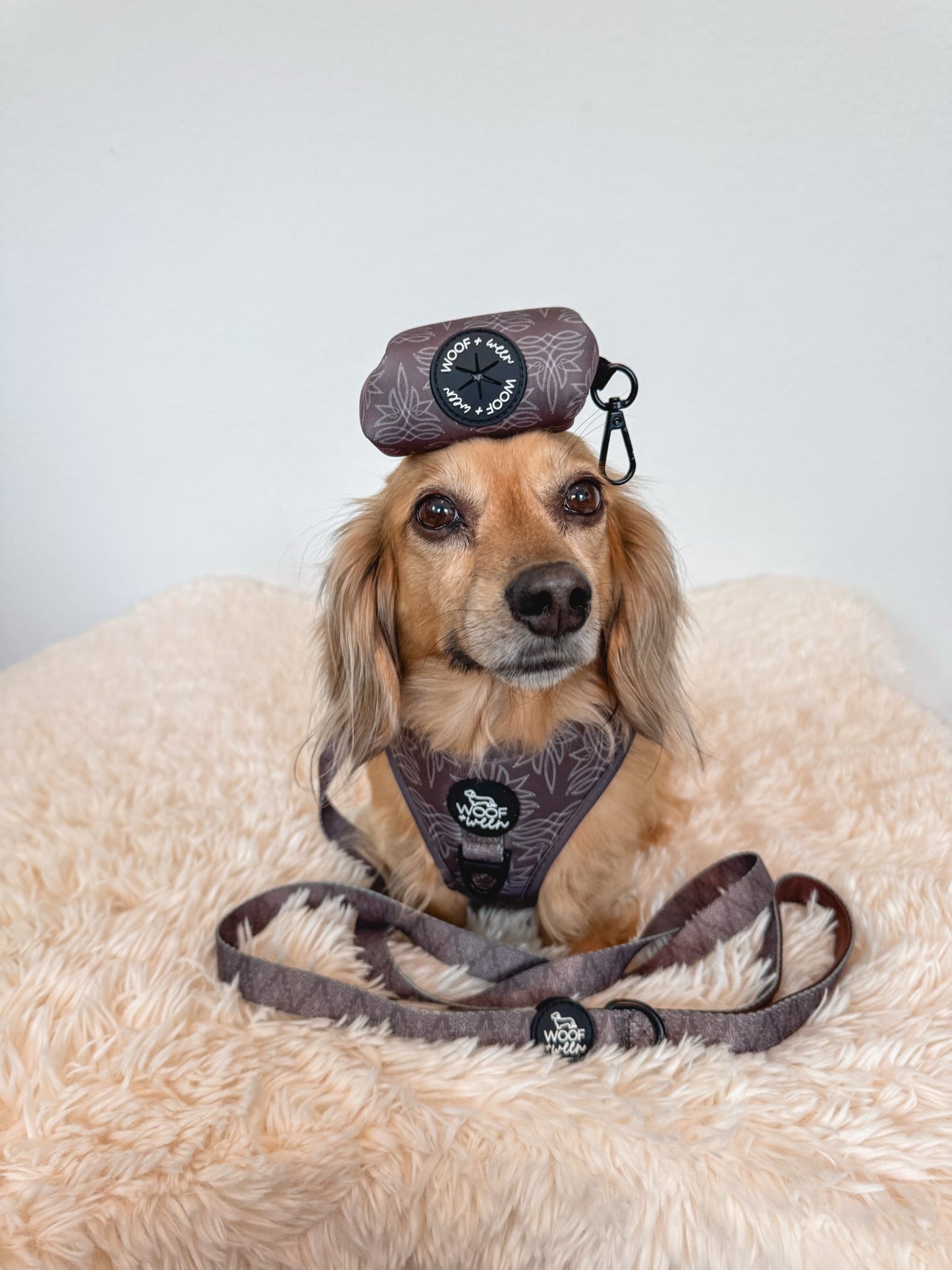 Adjustable Dog Harness - WESTERN