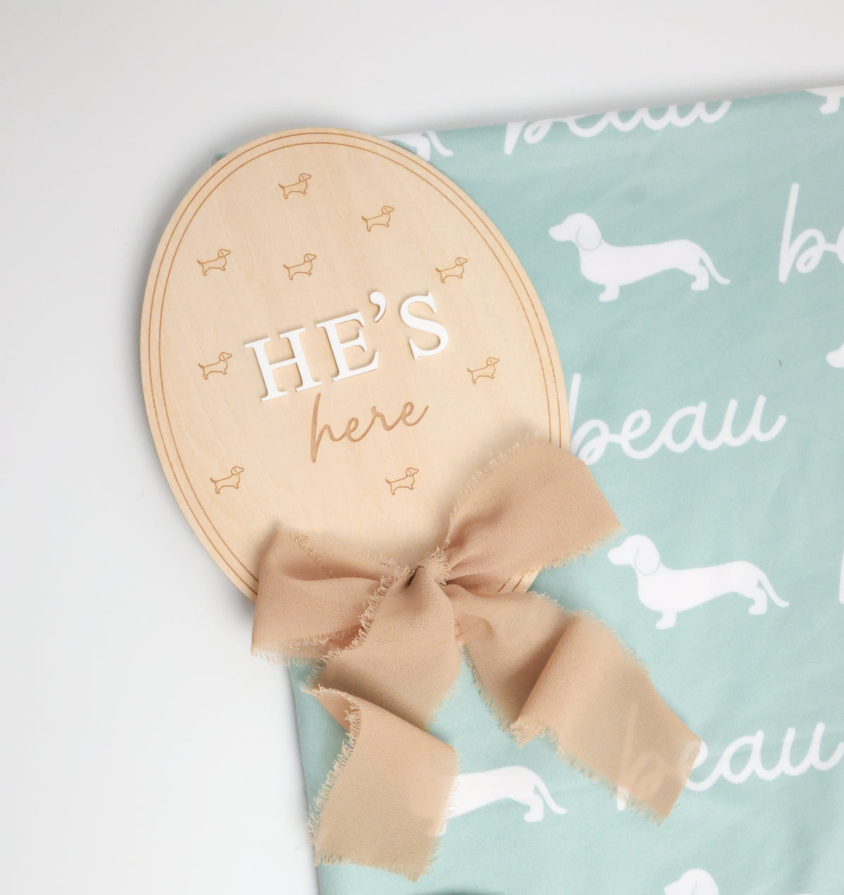 Dachshund Baby Swaddle Blanket - Dachshunds Custom Name