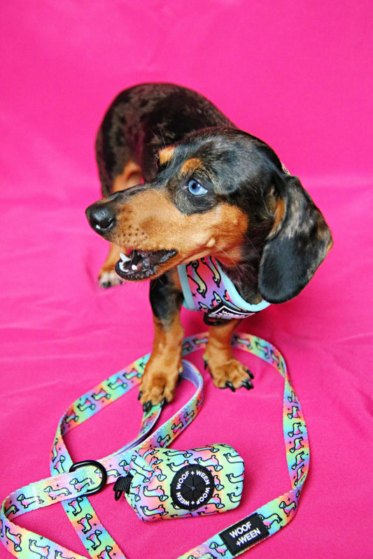 Leash - HOT DIGGITY DOG