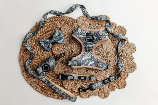 5-piece bundle - BOTANICAL PUP