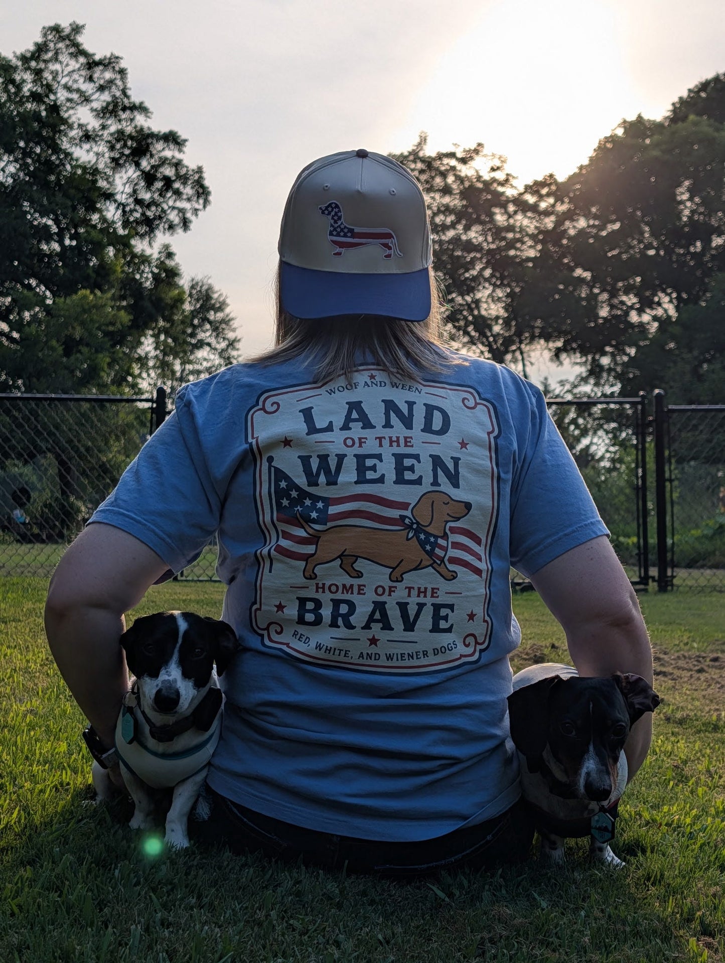 Dachshund Hat - American Flag Doxie