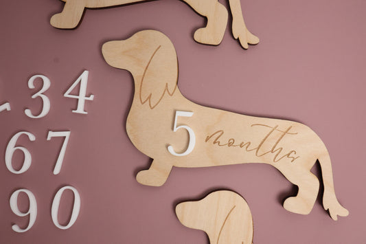 Dachshund Baby Wooden Monthly Milestone - Long Hair Doxie