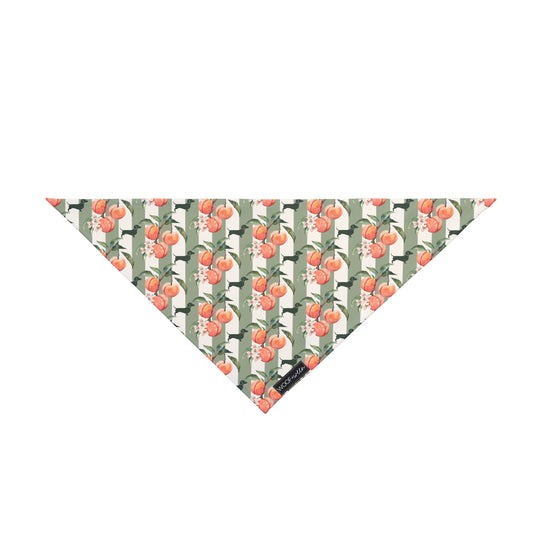 Dog Bandana - Peach Doxies
