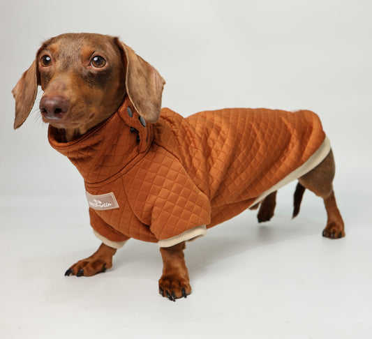 Dachshund Sweater - Rust Quilted Turtleneck Sweater