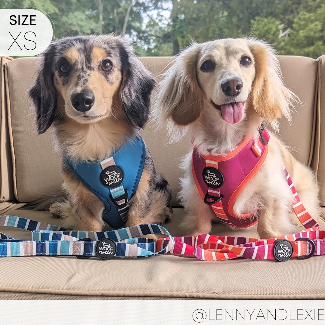 Adjustable Dog Harness - TROPIC SUNSET