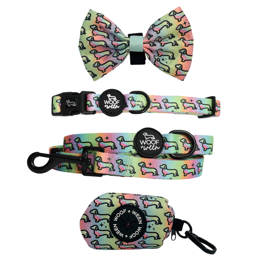 4-piece Accessory Bundle - Hot Diggity Dog