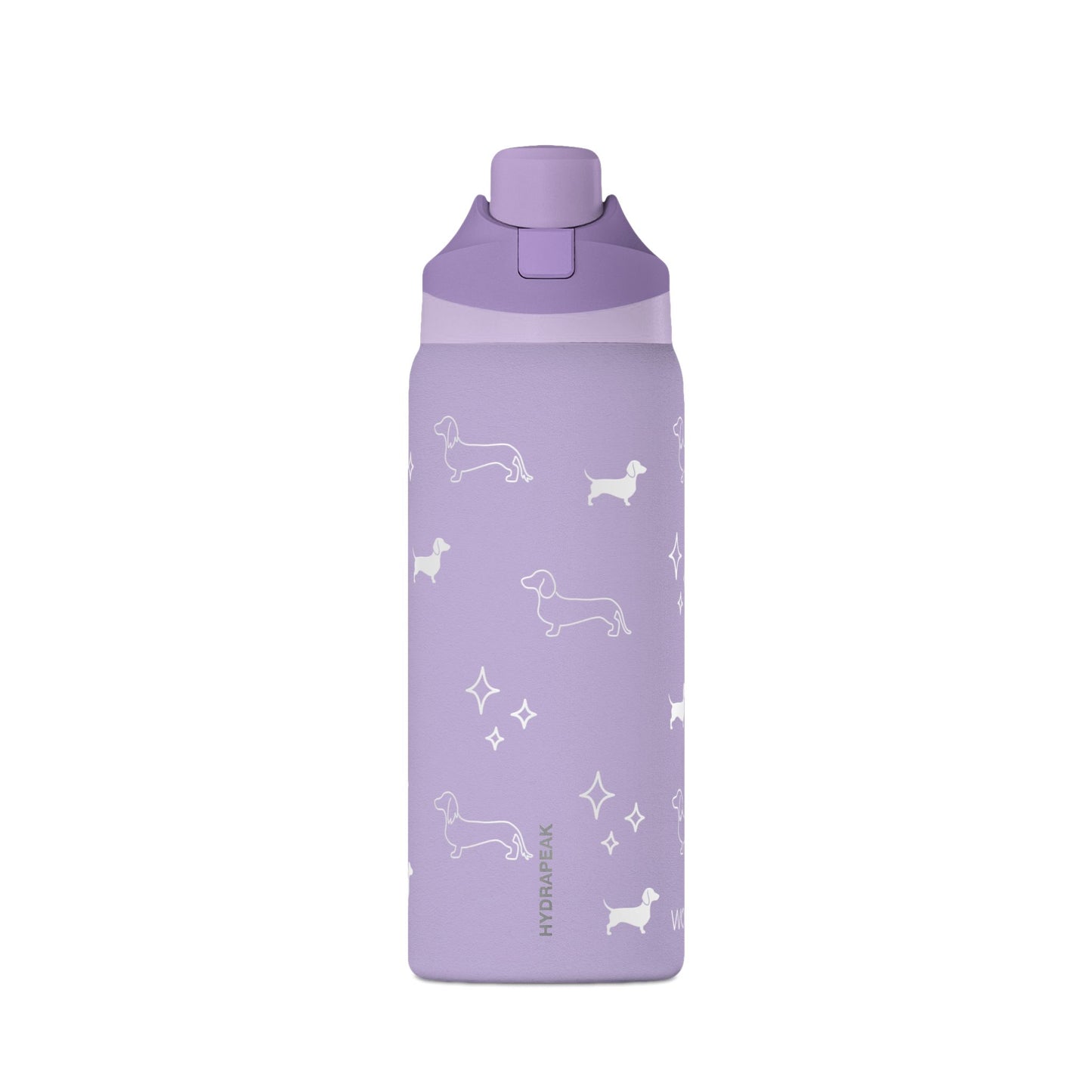 Dachshund Insulated Water Bottle - Whimsical Weens