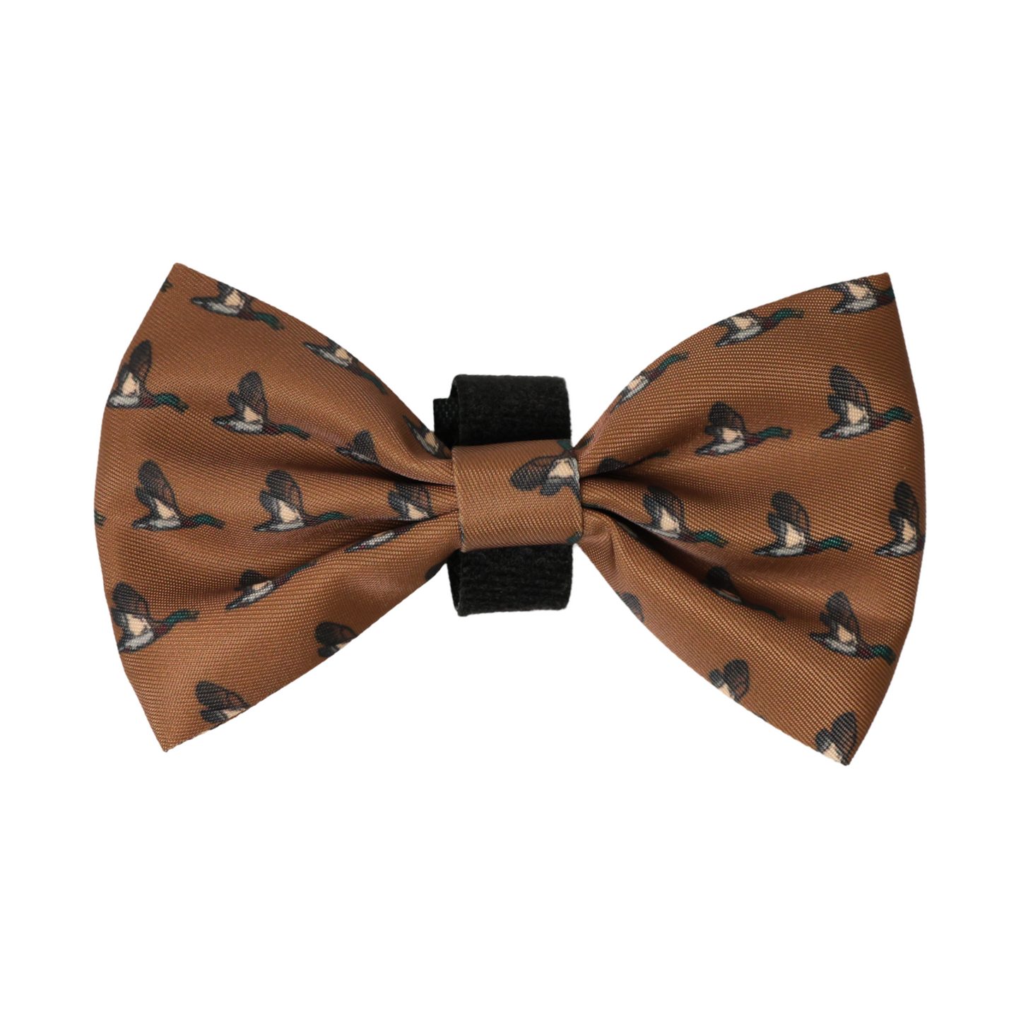 Bow - Duck Hunting Dog