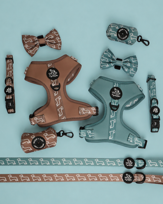Dachshund Collar - Teal Doxies