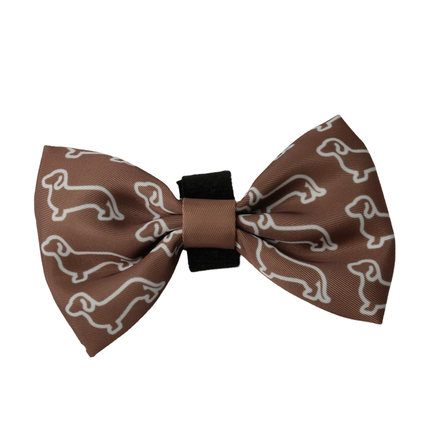 Bow - Camel Doxies