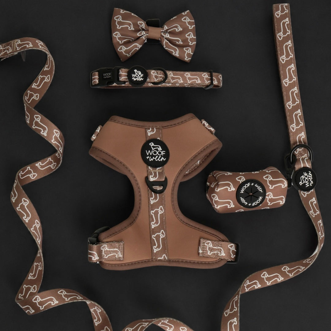 Camel tan color dachshund pattern doxie harness set with matching leash and collar