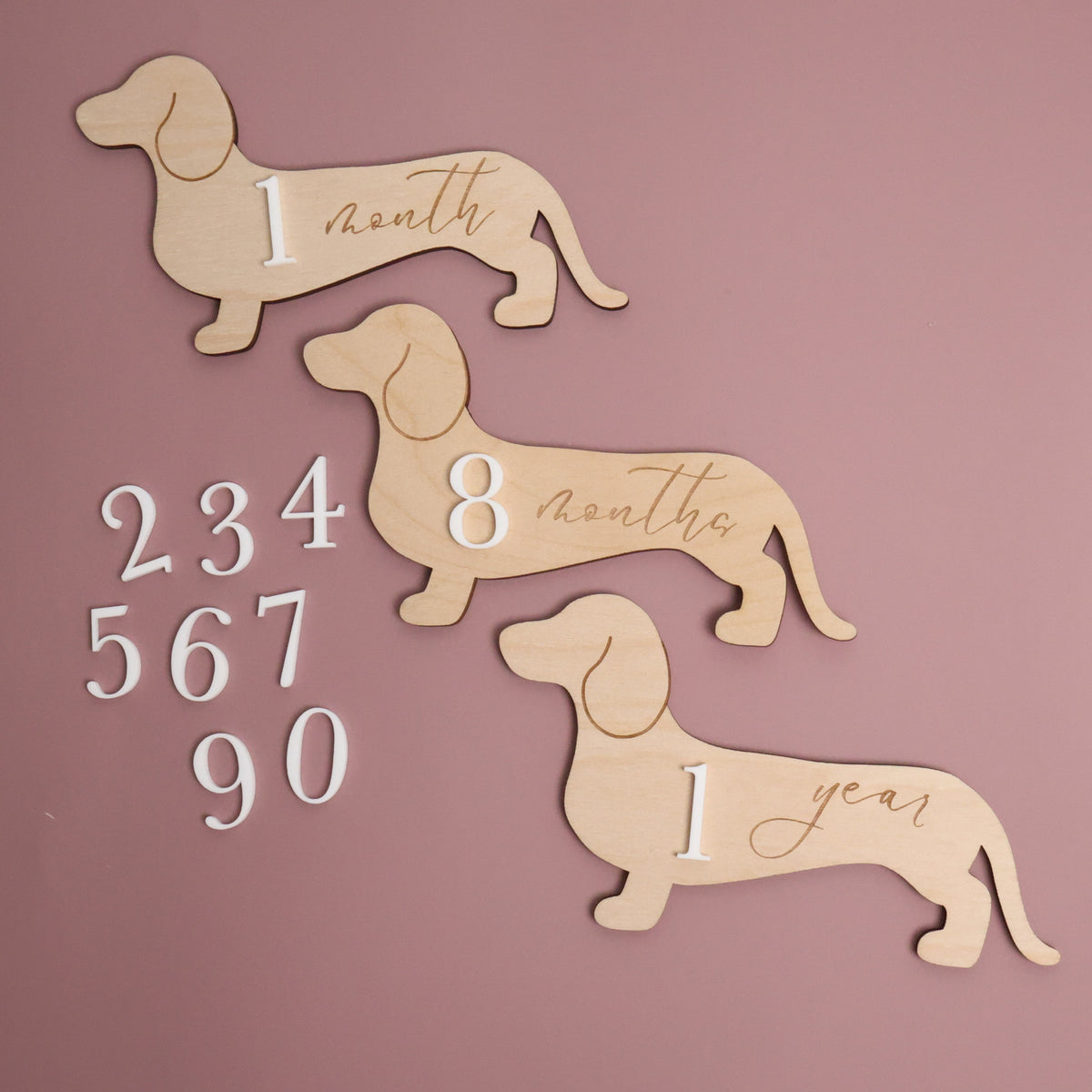 Dachshund Baby Wooden Monthly Milestone - Short Hair Doxie