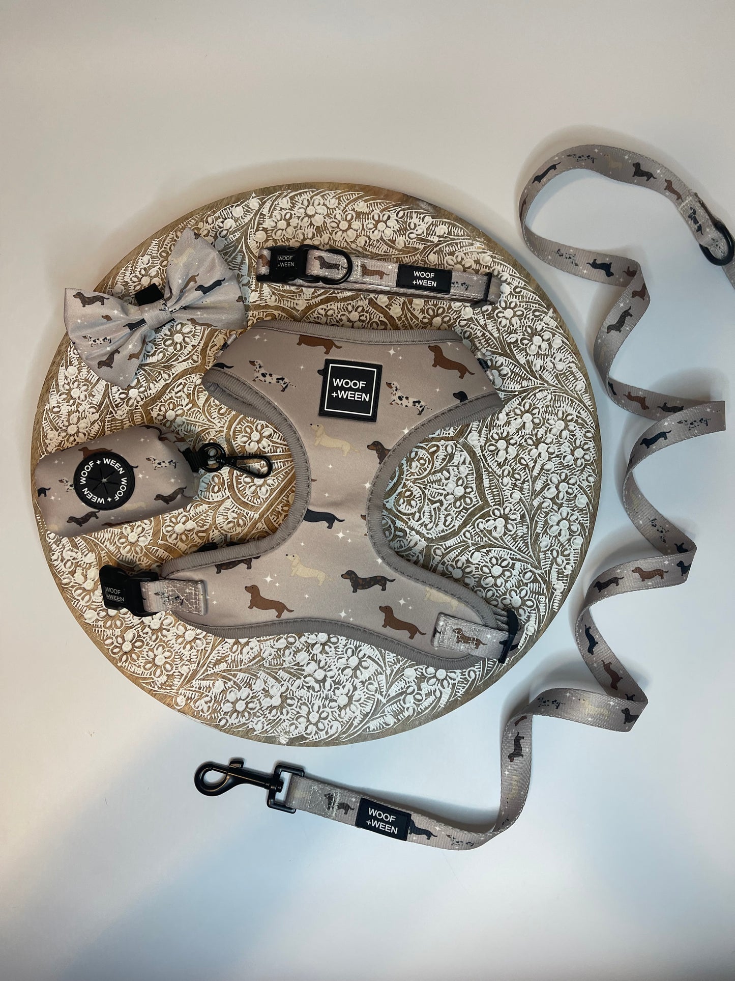 5-piece bundle - WHIMSICAL WEENS