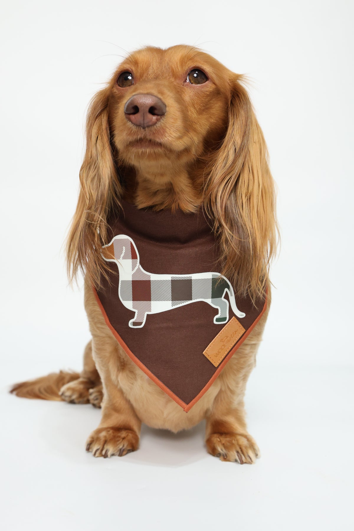 Dachshund Bandana - Doxie Plaid