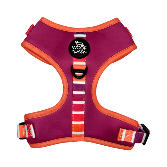 Pink and orange dog harness with stripes