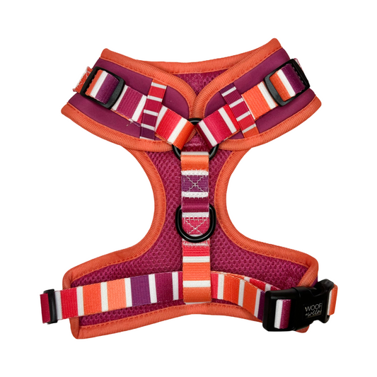 Adjustable Dog Harness - TROPIC SUNSET