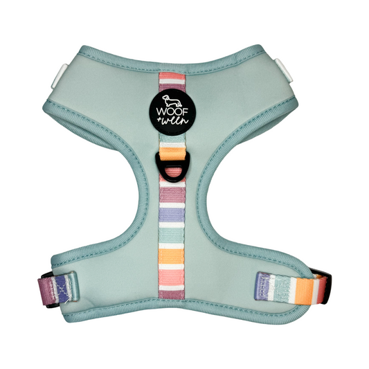 light blue and rainbow color adjustable dog harness for dogs and dachshunds