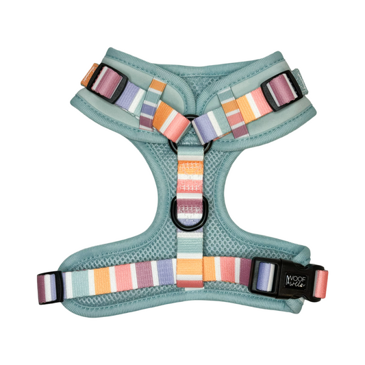Adjustable Dog Harness - SHERBET SUNSET