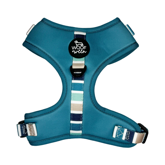 Blue striped dog harness