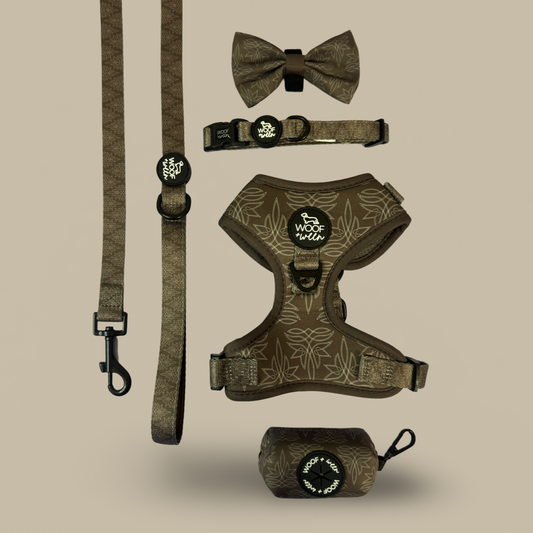 5-piece Bundle - WESTERN