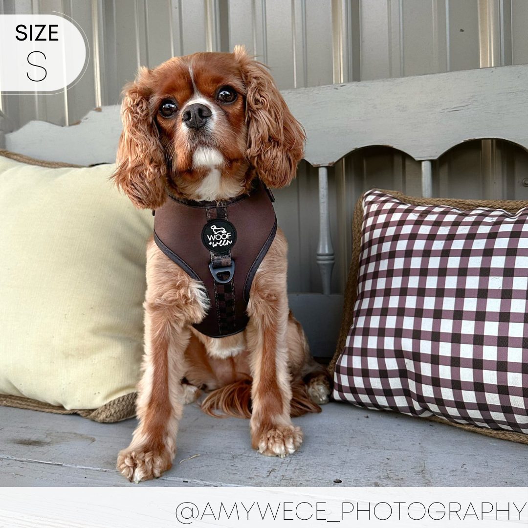 3-piece Walk Bundle - ESPRESSO