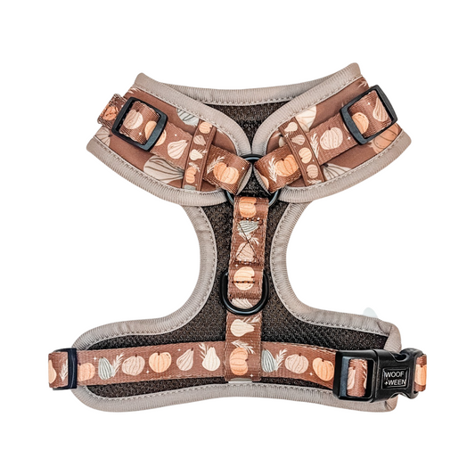 Adjustable Dog Harness - OH MY GOURD