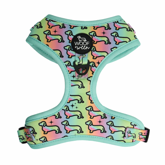 Dachshund Adjustable Harness - HOT DIGGITY DOG