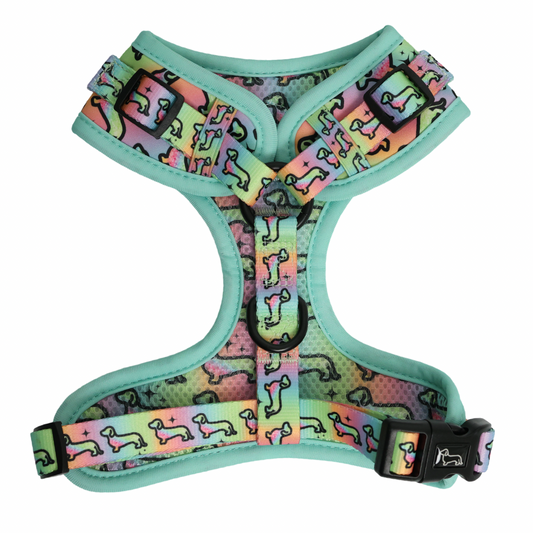 Dachshund Adjustable Harness - HOT DIGGITY DOG