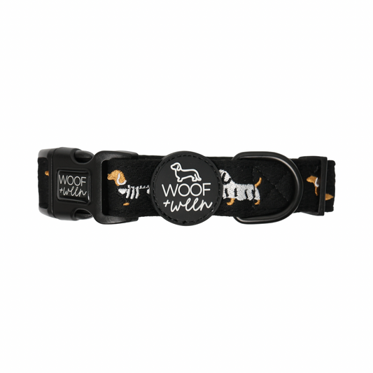 Halloweenie Doxies embroidered dachshund collar flat lay black knit spooky season