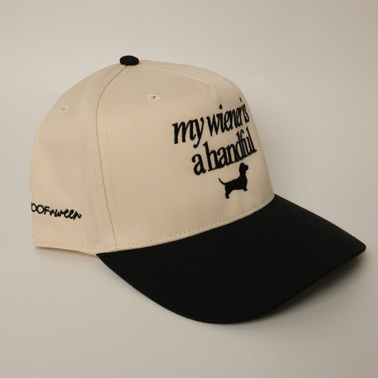 Dachshund Hat - my wiener is a handful