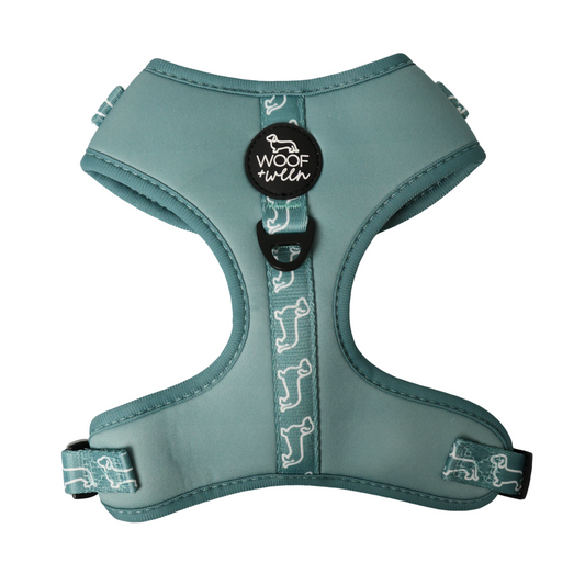 Light blue teal dog harness with dachshund pattern on a white background