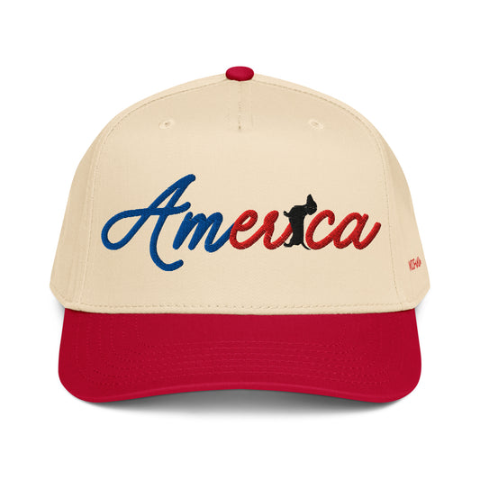 america dachshund embroidered hat for july fourth