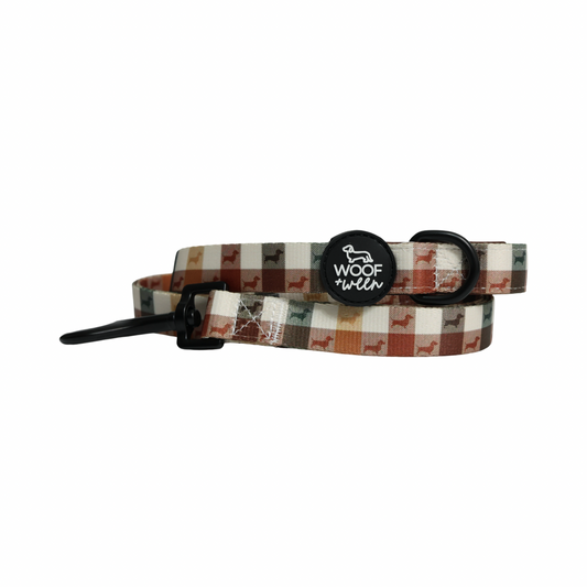 Fall Doxie Plaid dachshund leash with D-ring handle