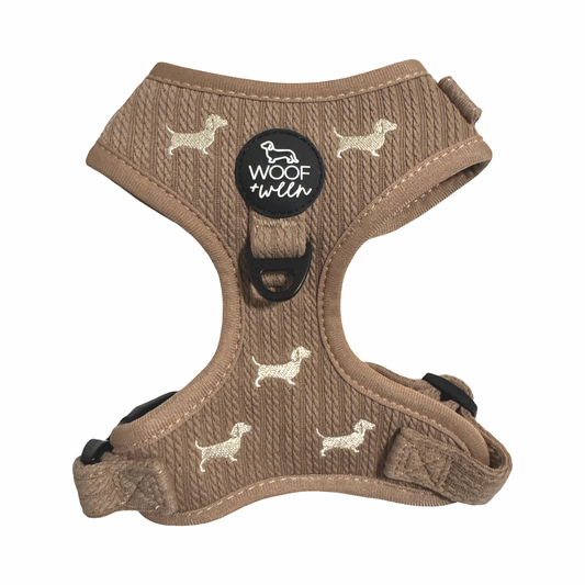 Dachshund wearing taupe knit Sweater Weather Dachshunds embroidered adjustable harness