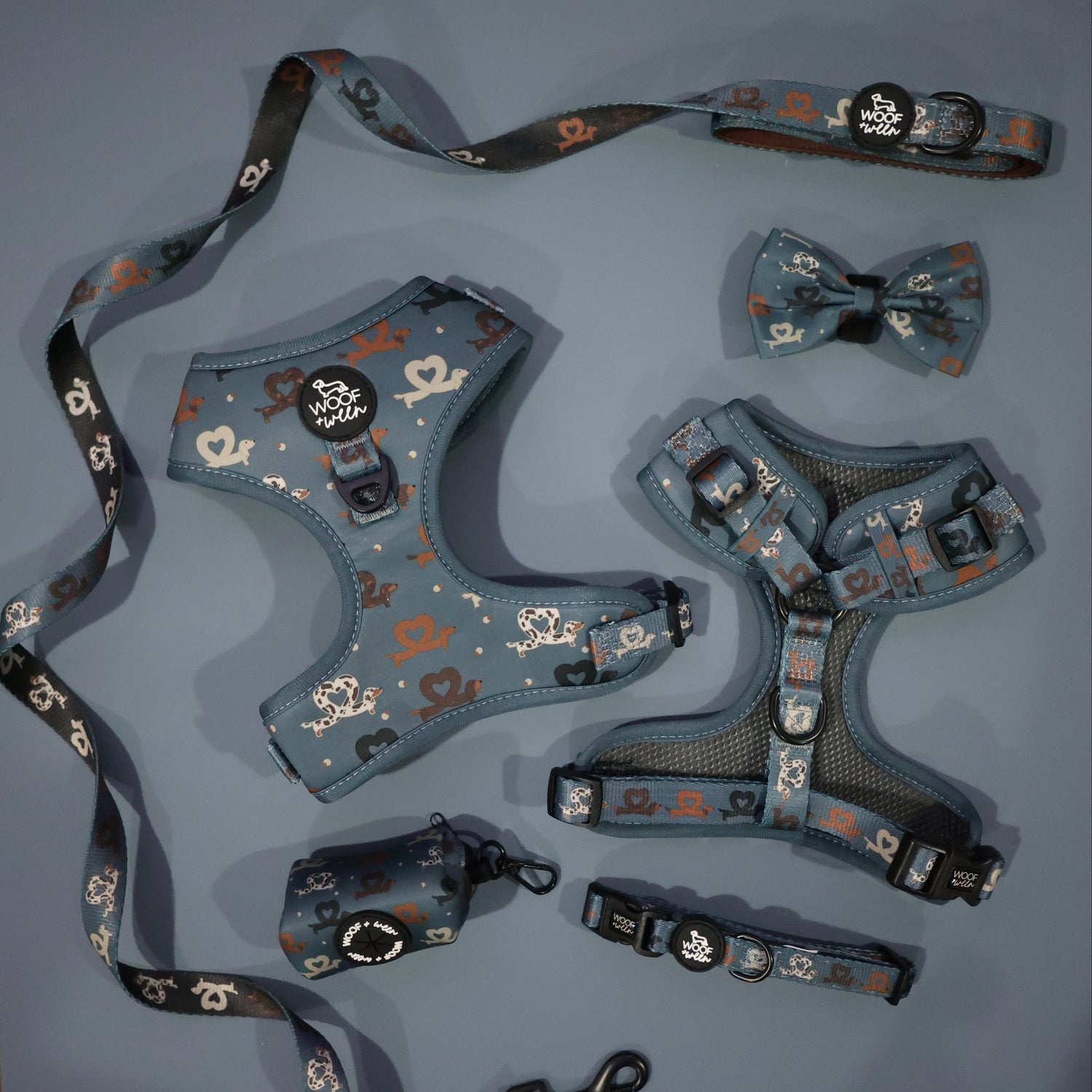 blue dachshund harness collection with collar leash harness bow and wastebag holder