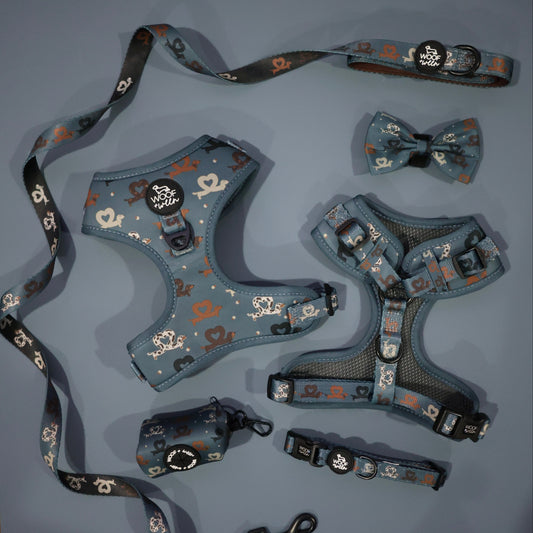 blue dachshund harness collection with collar leash harness bow and wastebag holder