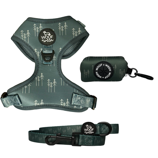 Green pine tree print dog harness, leash and waste bag holder walk bundle