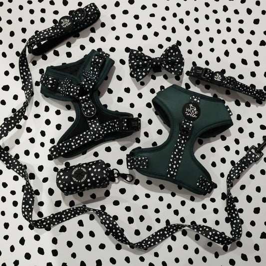 green dog harness from woof and ween with polka dots and a dog leash, collar, bow and waste bag holder