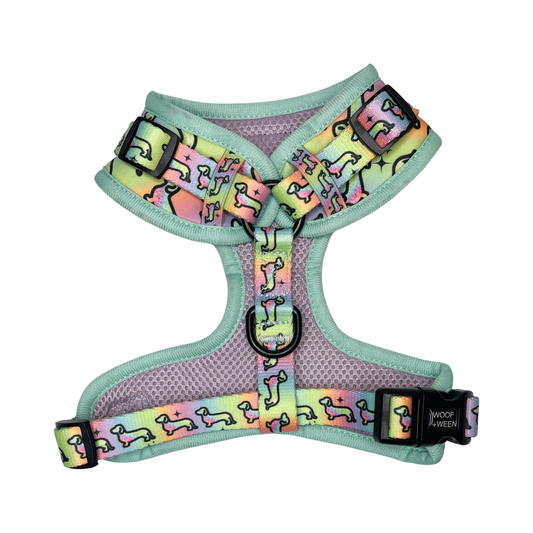 Dachshund Adjustable Harness - HOT DIGGITY DOG