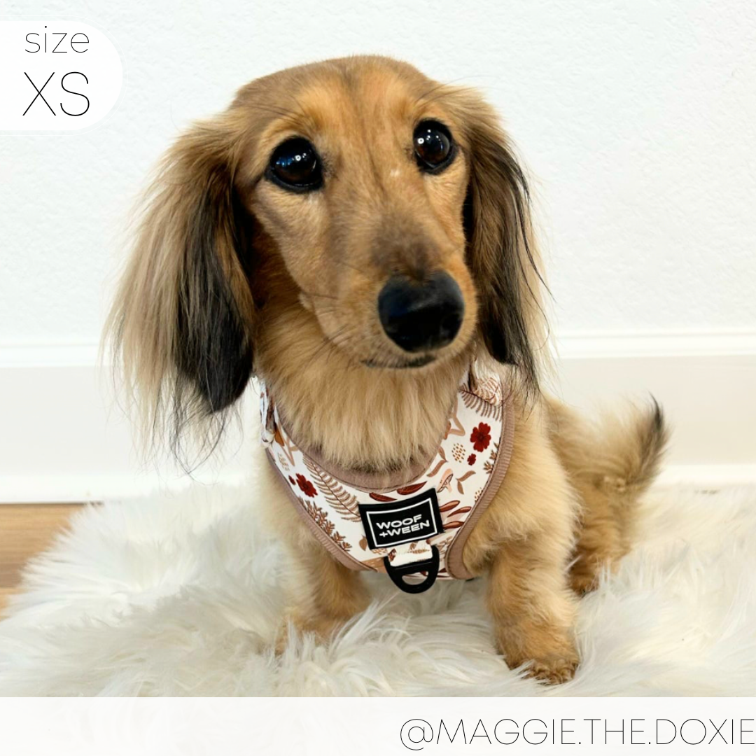 Adjustable Dog Harness - SPORGEOUS