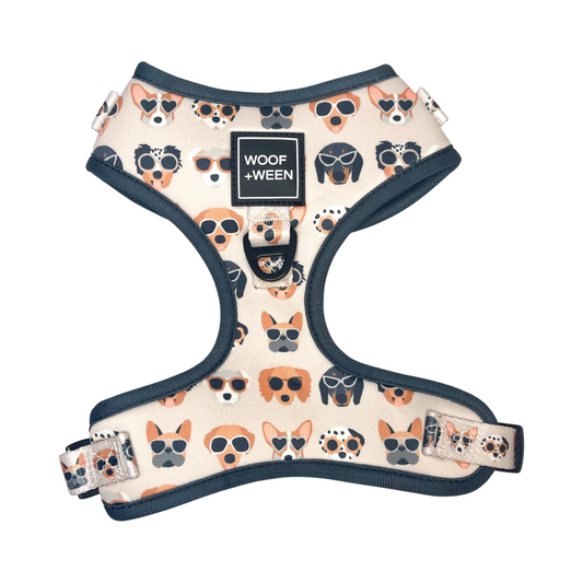 Adjustable Dog Harness - PUPS IN SUNNIES