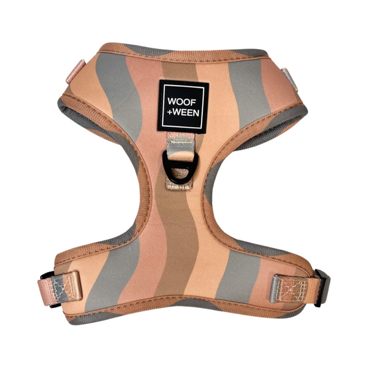 Adjustable Dog Harness - GOLDEN HOUR