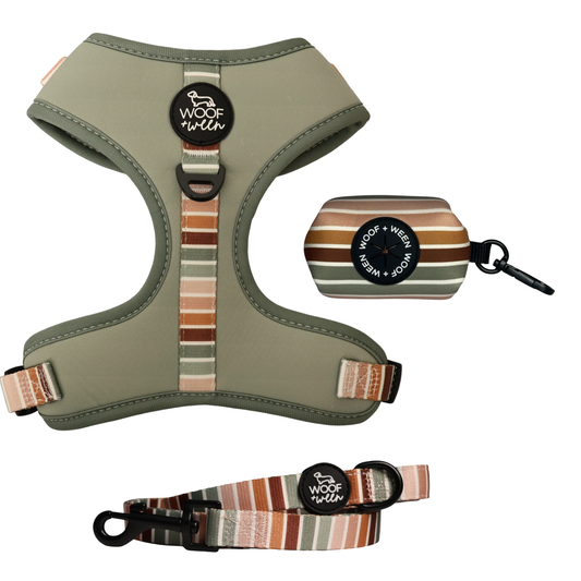 Sage green striped dog harness, leash and waste bag holder walk bundle