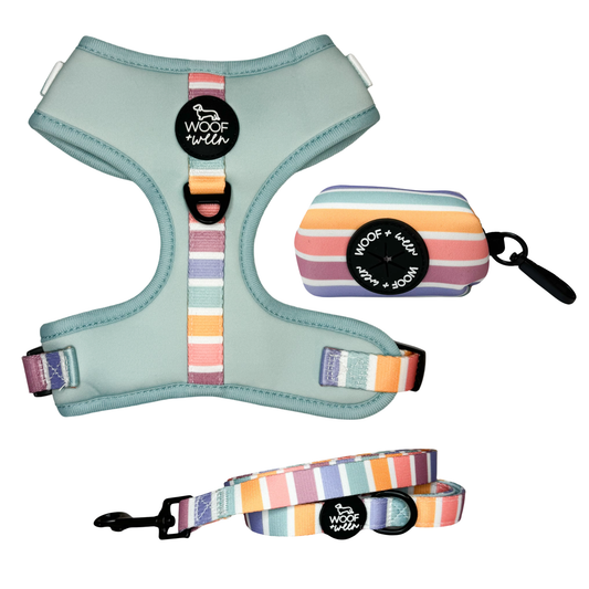Rainbow striped dog harness, leash and waste bag holder walk bundle