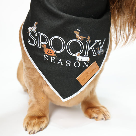 a dachshund wearing a black triangular bandana with 'Spooky Season' printed in white, decorated with small Halloween dachshund illustrations