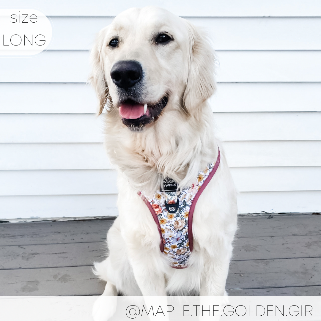 Adjustable Dog Harness - FLOWER FIELDS