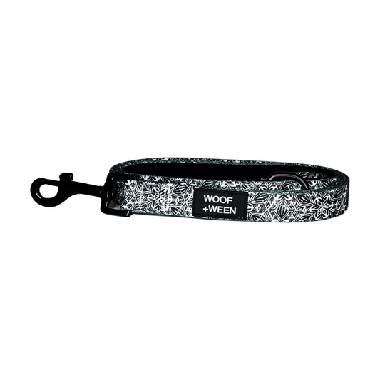 Leash - BACK IN BLACK
