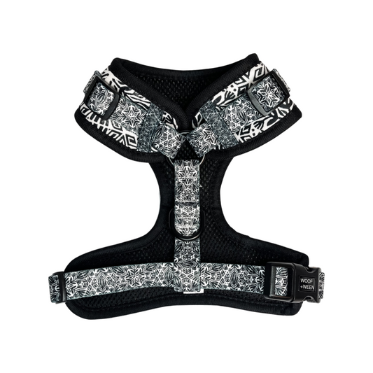 Adjustable Dog Harness - BACK IN BLACK
