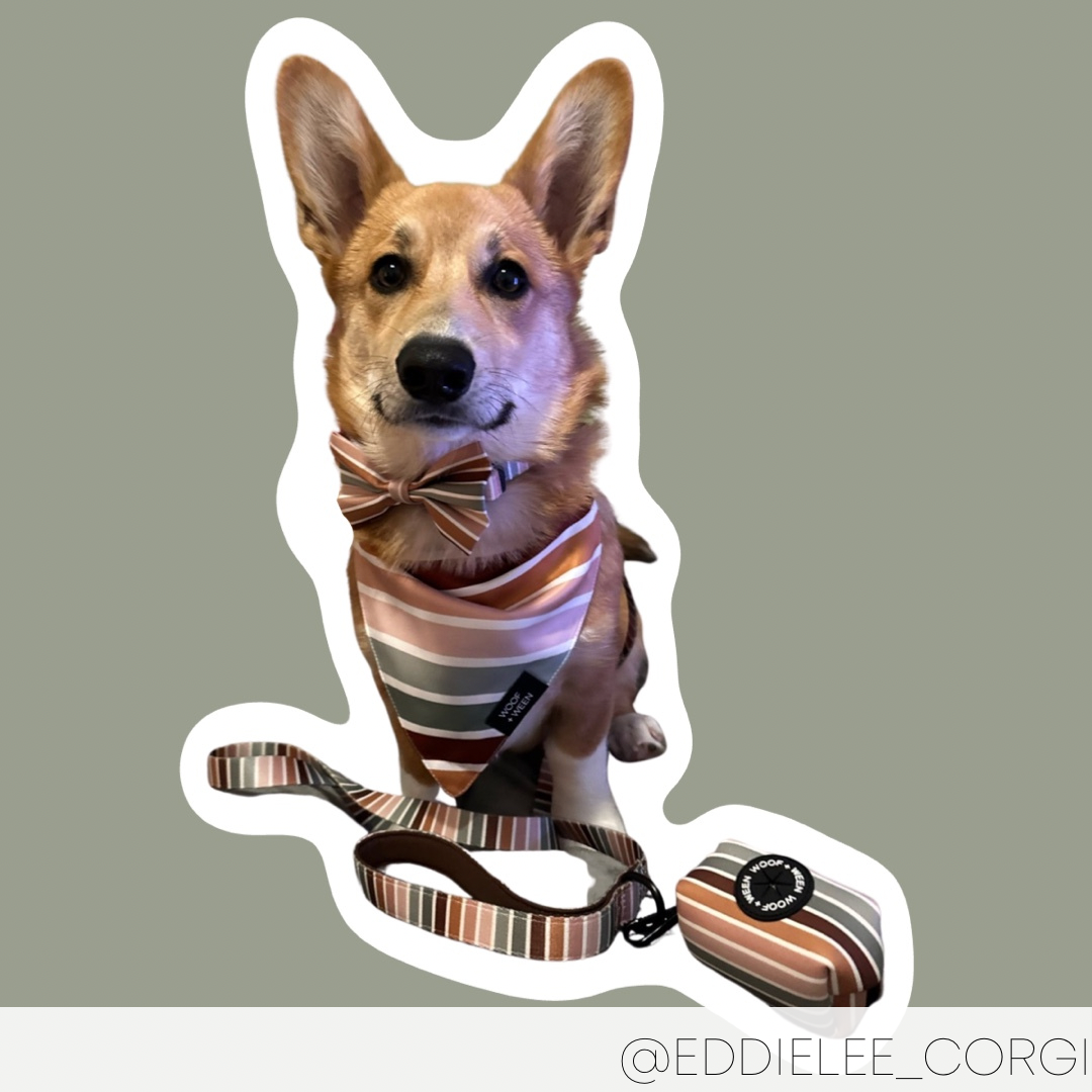 Bandana - SAGE SUNSET