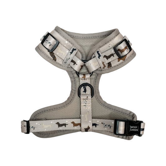 Dachshund Adjustable Harness - WHIMSICAL WEENS
